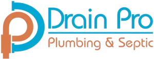 Drain Beast Services