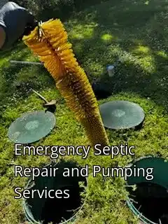 Emergency Septic Repair and Pumping Services Emergency Septic Repair and Pumping Services