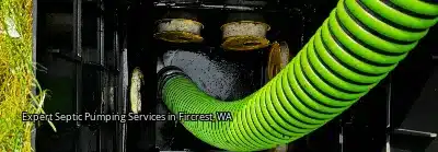 Expert Septic Pumping Services in Fircrest, WA Expert Septic Pumping Services in Fircrest, WA