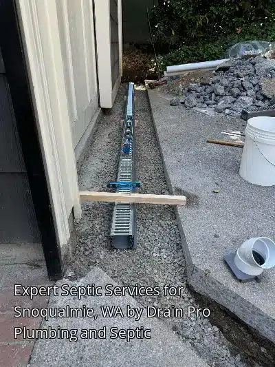 Expert Septic Services for Snoqualmie, WA by Drain Beast Services Expert Septic Services for Snoqualmie, WA by Drain Beast Services