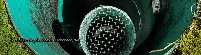 Septic Pumping Services in Carbonado, WA Septic Pumping Services in Carbonado, WA