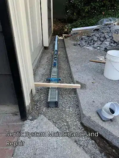 Septic System Maintenance and Repair Septic System Maintenance and Repair