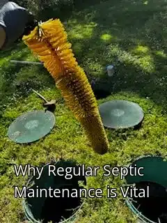 Why Regular Septic Maintenance is Vital Why Regular Septic Maintenance is Vital