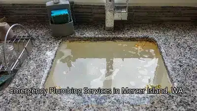 Emergency Plumbing Services in Mercer Island, WA Emergency Plumbing Services in Mercer Island, WA