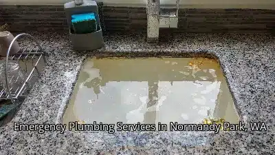 Emergency Plumbing Services in Normandy Park, WA Emergency Plumbing Services in Normandy Park, WA