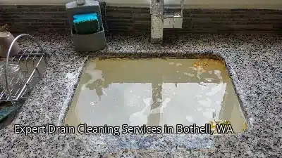 Expert Drain Cleaning Services in Bothell, WA Expert Drain Cleaning Services in Bothell, WA