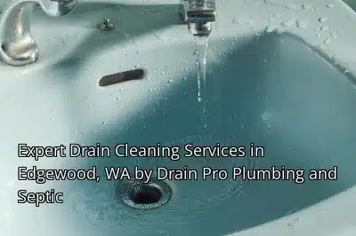 Expert Drain Cleaning Services in Edgewood, WA by Drain Beast Services Expert Drain Cleaning Services in Edgewood, WA by Drain Beast Services