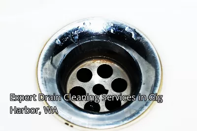Expert Drain Cleaning Services in Gig Harbor, WA Expert Drain Cleaning Services in Gig Harbor, WA