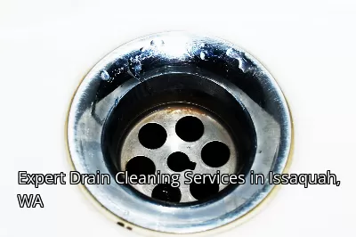 Expert Drain Cleaning Services in Issaquah, WA Expert Drain Cleaning Services in Issaquah, WA