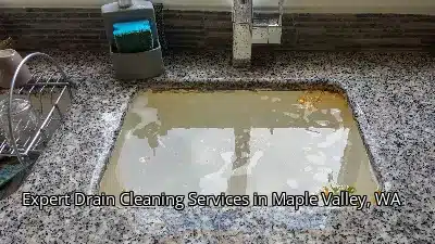 Expert Drain Cleaning Services in Maple Valley, WA Expert Drain Cleaning Services in Maple Valley, WA
