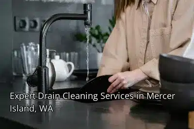 Expert Drain Cleaning Services in Mercer Island, WA Expert Drain Cleaning Services in Mercer Island, WA