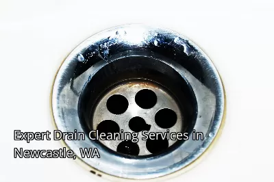 Expert Drain Cleaning Services in Newcastle, WA Expert Drain Cleaning Services in Newcastle, WA