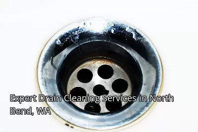 Expert Drain Cleaning Services in North Bend, WA Expert Drain Cleaning Services in North Bend, WA