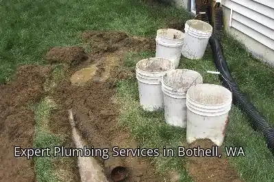 Expert Plumbing Services in Bothell, WA Expert Plumbing Services in Bothell, WA