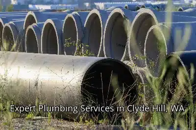 Expert Plumbing Services in Clyde Hill, WA Expert Plumbing Services in Clyde Hill, WA