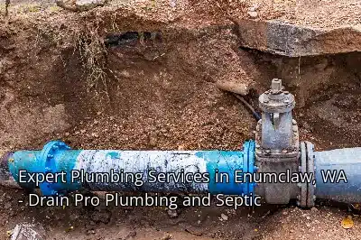 Expert Plumbing Services in Enumclaw, WA - Drain Beast Services Expert Plumbing Services in Enumclaw, WA - Drain Beast Services