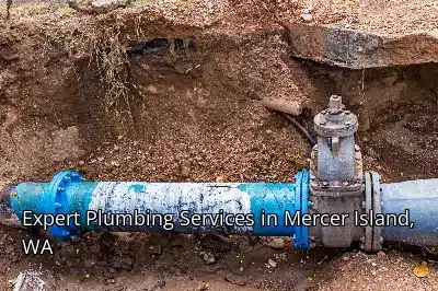 Expert Plumbing Services in Mercer Island, WA Expert Plumbing Services in Mercer Island, WA