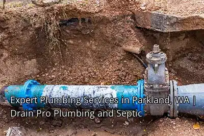 Expert Plumbing Services in Parkland, WA | Drain Beast Services Expert Plumbing Services in Parkland, WA | Drain Beast Services
