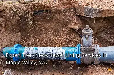 Expert Trenchless Sewer Lining Services in Maple Valley, WA Expert Trenchless Sewer Lining Services in Maple Valley, WA
