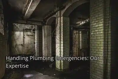 Handling Plumbing Emergencies: Our Expertise Handling Plumbing Emergencies: Our Expertise