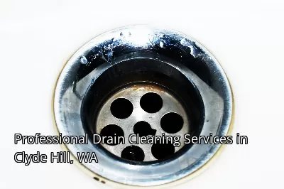 Professional Drain Cleaning Services in Clyde Hill, WA Professional Drain Cleaning Services in Clyde Hill, WA