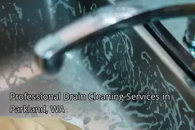 Professional Drain Cleaning Services in Parkland, WA Professional Drain Cleaning Services in Parkland, WA