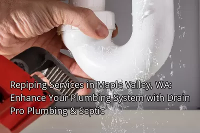 Repiping Services in Maple Valley, WA: Enhance Your Plumbing System with Drain Beast Services Repiping Services in Maple Valley, WA: Enhance Your Plumbing System with Drain Beast Services