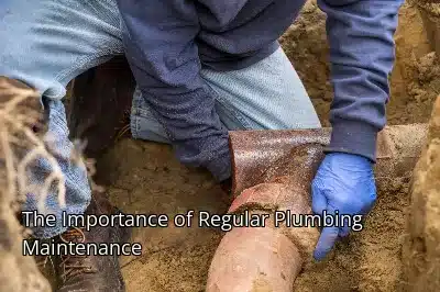 The Importance of Regular Plumbing Maintenance The Importance of Regular Plumbing Maintenance