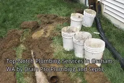 Top-Notch Plumbing Services in Graham, WA by Drain Beast Services Top-Notch Plumbing Services in Graham, WA by Drain Beast Services