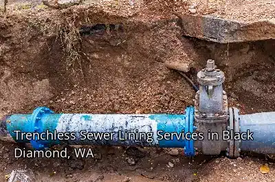 Trenchless Sewer Lining Services in Black Diamond, WA Trenchless Sewer Lining Services in Black Diamond, WA