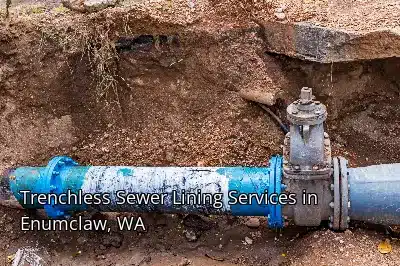 Trenchless Sewer Lining Services in Enumclaw, WA Trenchless Sewer Lining Services in Enumclaw, WA