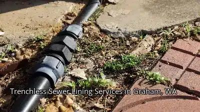 Trenchless Sewer Lining Services in Graham, WA Trenchless Sewer Lining Services in Graham, WA