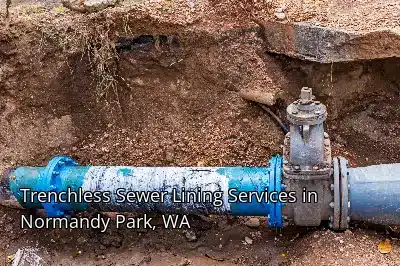 Trenchless Sewer Lining Services in Normandy Park, WA Trenchless Sewer Lining Services in Normandy Park, WA