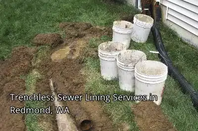 Trenchless Sewer Lining Services in Redmond, WA Trenchless Sewer Lining Services in Redmond, WA