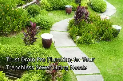 Trust Drain Beast Services for Your Trenchless Sewer Lining Needs Trust Drain Beast Services for Your Trenchless Sewer Lining Needs