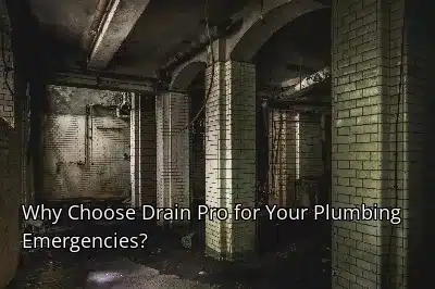 Why Choose Drain Beast Services for Your Plumbing Emergencies? Why Choose Drain Beast Services for Your Plumbing Emergencies?