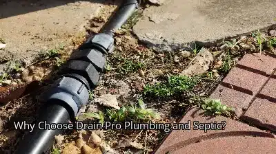 Why Choose Drain Beast Services? Why Choose Drain Beast Services?