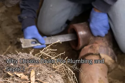 Why Choose Drain Beast Services? Why Choose Drain Beast Services?