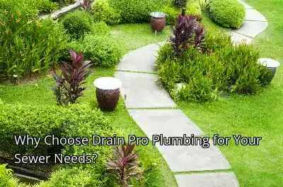 Why Choose Drain Beast Services for Your Sewer Needs? Why Choose Drain Beast Services for Your Sewer Needs?