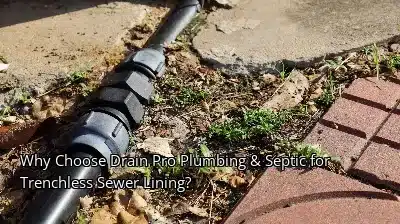 Why Choose Drain Beast Services for Trenchless Sewer Lining? Why Choose Drain Beast Services for Trenchless Sewer Lining?