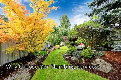 Why Choose Our Plumbing Services? Why Choose Our Plumbing Services?