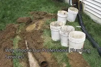Why Choose Our Professional Plumbing Services? Why Choose Our Professional Plumbing Services?