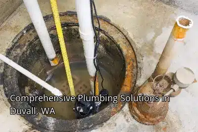 Comprehensive Plumbing Solutions in Duvall, WA Comprehensive Plumbing Solutions in Duvall, WA