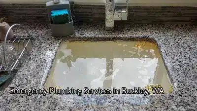 Emergency Plumbing Services in Buckley, WA Emergency Plumbing Services in Buckley, WA