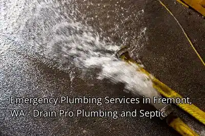 Emergency Plumbing Services in Fremont, WA - Drain Beast Services Emergency Plumbing Services in Fremont, WA - Drain Beast Services