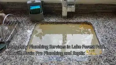 Emergency Plumbing Services in Lake Forest Park, WA with Drain Beast Services