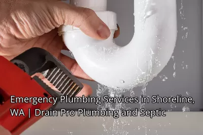 Emergency Plumbing Services in Shoreline, WA | Drain Beast Services Emergency Plumbing Services in Shoreline, WA | Drain Beast Services