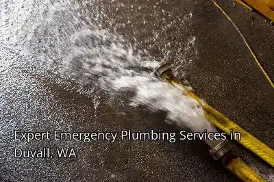Expert Emergency Plumbing Services in Duvall, WA Expert Emergency Plumbing Services in Duvall, WA