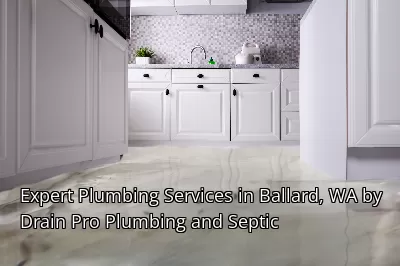 Expert Plumbing Services in Ballard, WA by Drain Beast Services Expert Plumbing Services in Ballard, WA by Drain Beast Services