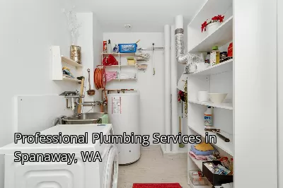 Professional Plumbing Services in Spanaway, WA Professional Plumbing Services in Spanaway, WA